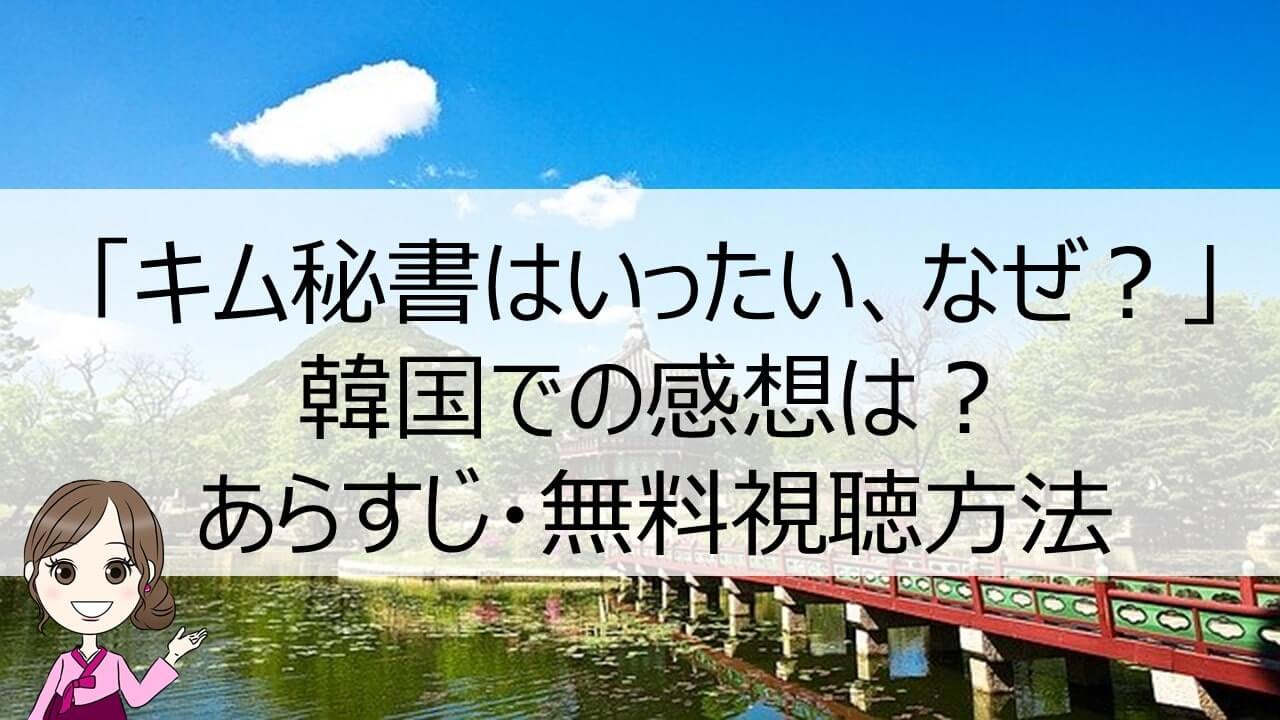 キム秘書はいったい なぜ 日韓感想比較 あらすじ 無料視聴方法 ちいこりあん キム秘書はいったい なぜ 日韓感想比較 あらすじ 無料視聴方法 ちいこりあん